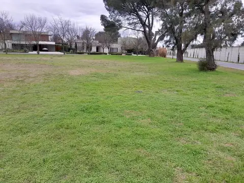 Olivos golf
