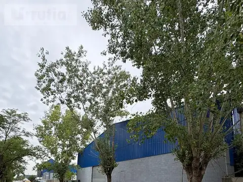 Galpon en Alquiler A Estrenar