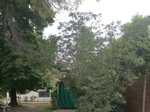 Gervasio Méndez (apto Credito) 1864