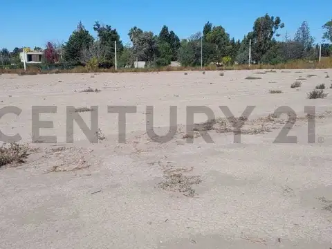 cruz videla 2000, Piso 0