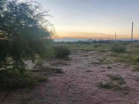 Terreno en Venta en Monte Caseros, USD 4.000