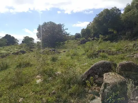 Hermoso loteo en San Clemente