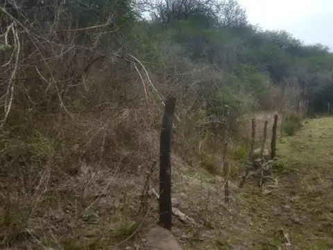 Terreno en Venta de 31839,0 m2