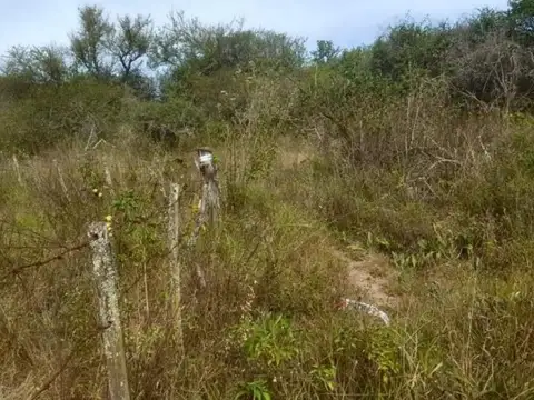 Terreno en Venta de 31839,0 m2