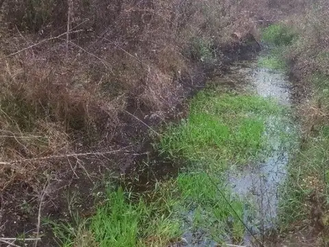 VENTA LOTE 3HAS ARROYO EL ALGODONAL AGUA DE ORO