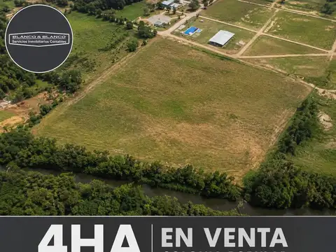 4 HECTÁREAS EN VENTA – COLONIA POPULAR