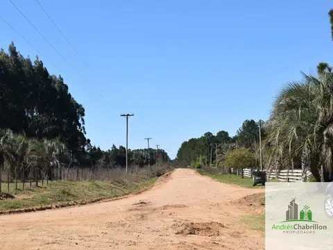 Camino Tortuga Alegre, Entre Ríos, 100
