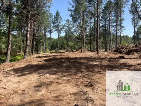 Terreno en Venta 140  mts Frente