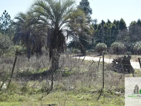 Terreno en venta de 10.000m2 camino a la Tortuga Alegre