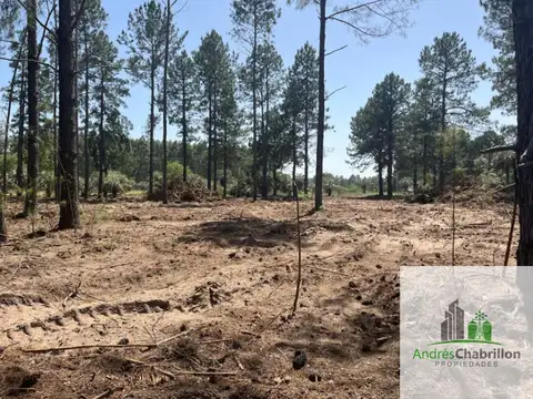 Terreno en venta de 10.000m2 camino a la Tortuga Alegre