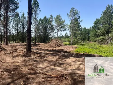 Camino Tortuga Alegre, Entre Ríos, 100