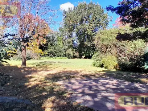 Terreno en Venta 25  mts Fondo