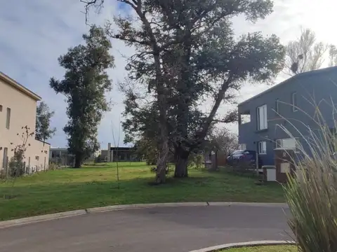 Terreno En Venta Pilar Del Este