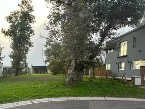 Avenida Doctor Honorio Pueyrredón 5500