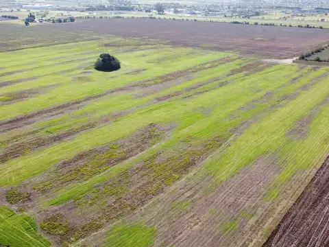 VENTA DE CAMPO SOBRE AUTOPISTA USO INDUSTRIAL