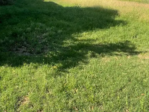 Terreno en Venta 10  mts Frente