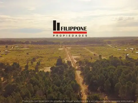 Lotes En Venta B° Parque Reserva Darwin  Balneario Pehuen Co