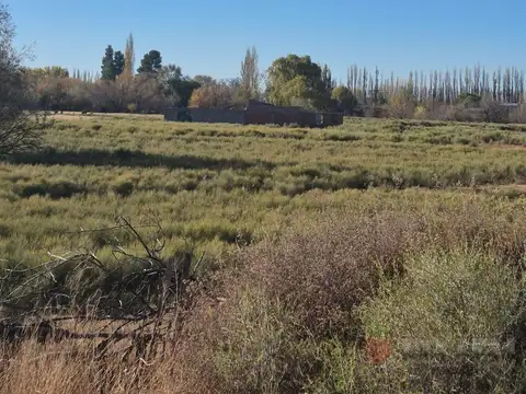 CHACRA EN VENTA EN ALLEN