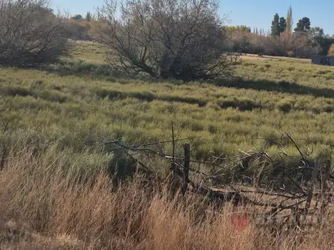 CHACRA EN VENTA EN ALLEN