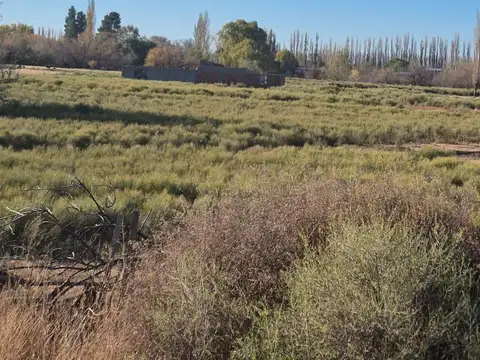 Venta de 4.9 Hectareas. Allen,