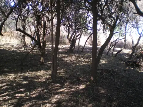 Cuesta De La Granadilla