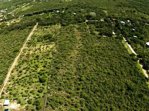 Terreno en Venta de 26000,0 m2