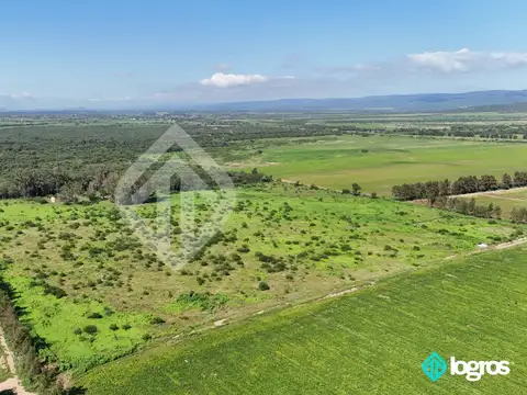 Ruta Nacional 100
