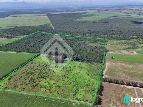 Campo en venta de 50 has en General Güemes - Provincia de Salta