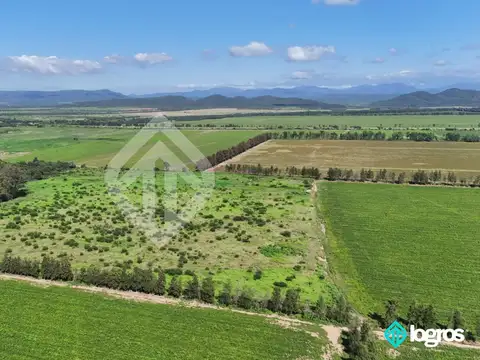 Campo en venta de 50 has en General Güemes - Provincia de Salta