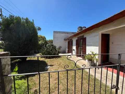 Curiale e Ibarguren 100