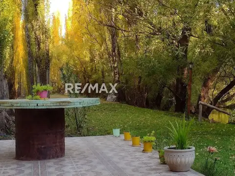 Venta - 5,6 has costa de Río Neuquén, Centenario