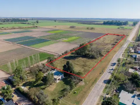 MONTE VERA PARAJE LA COSTA