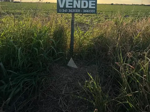 Colectora Au BA Ros