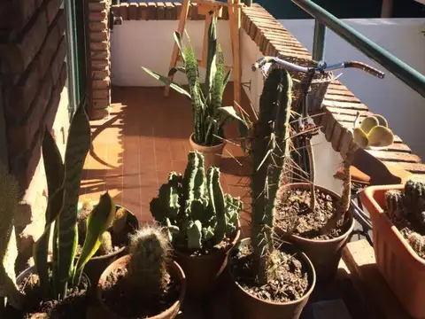 Departamento en Alquiler al Norte