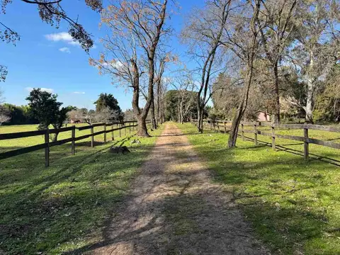Camino a los Cardales, Av Pavón s/n