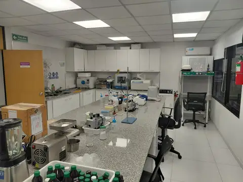 Oficina en Alquiler al Este