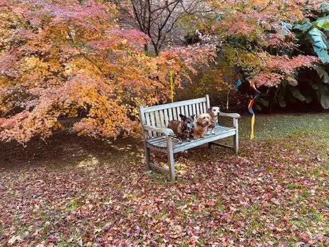 Terreno Único en Venta – Alberdi 478, Olivos – 404 m²