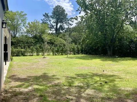 Los Colibries y Los Horneros