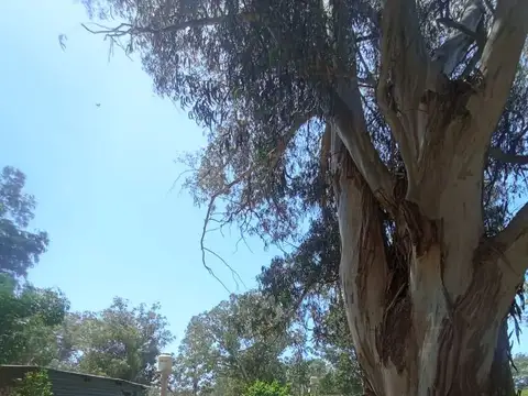 VENTA LOTE EN PARQUE BRISTOL MIRAMAR CALLE BELGRAN