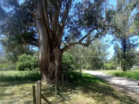 Terreno en Venta de 210,0 m2