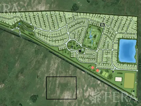 HARAS DEL SUR I LOTE 135