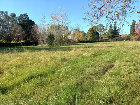 Rio Lujan 200