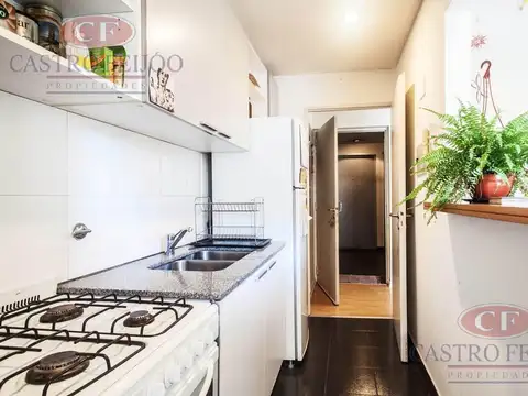 Departamento en Alquiler al Sur