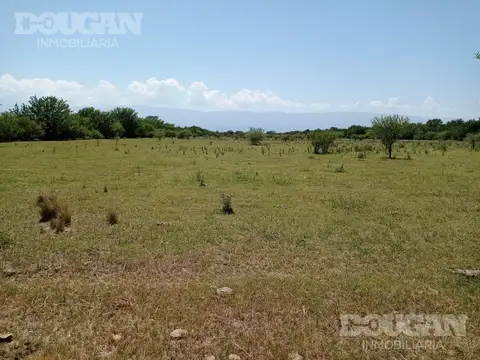 Campo - Punta De Agua