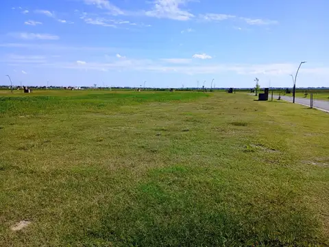 Puertos Barrio Nativas