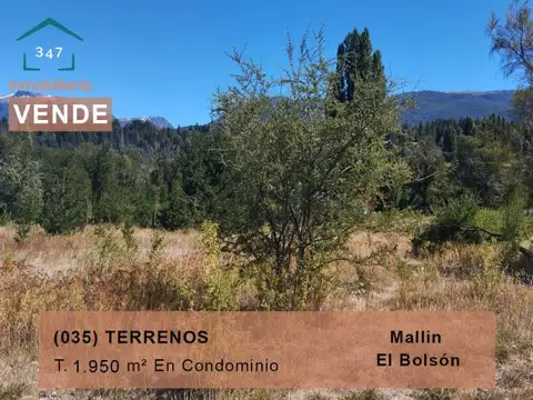 (035) EL BOLSON (Mallin Ahogado) Terrenos en condominio de 1.950mts2