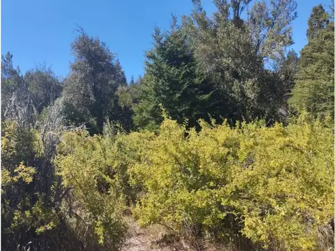 Mallin por warton , Piso No definido