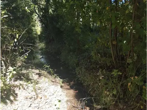 Mallin por warton , Piso No definido