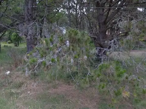 Terreno en Venta 37  mts Fondo