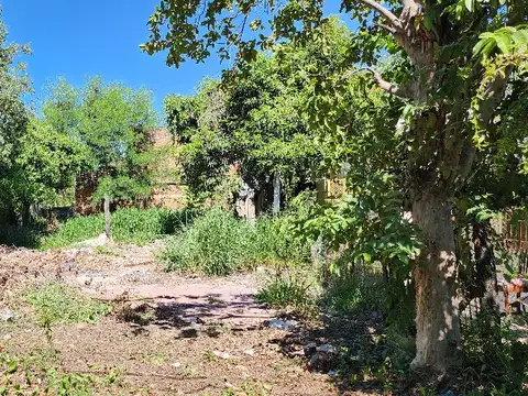 Terreno en Venta 11,55  mts Frente